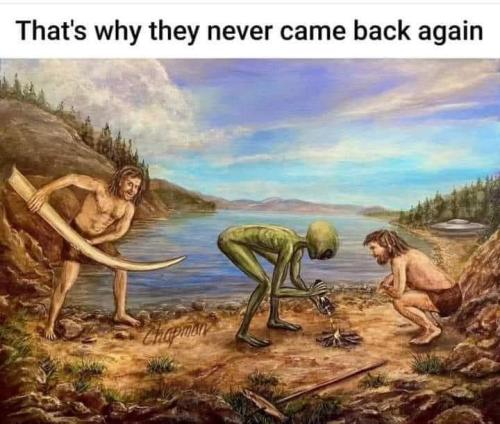 FB_IMG_1722013299565