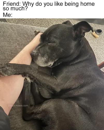 FB_IMG_1747412558308