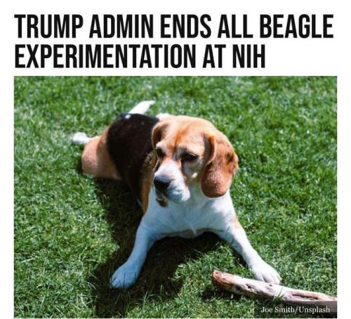 b0ba0947a0dc439e992af32123a1e10c