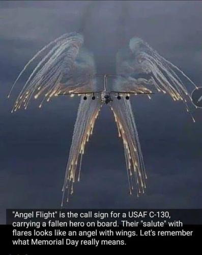angel g