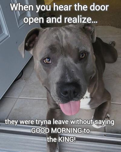 FB_IMG_1747694028179