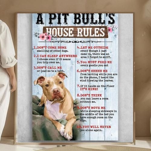 44b5f46ff01286855067c9fb62f09c6e