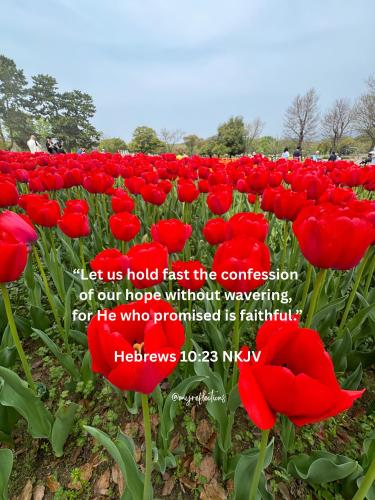 495566559_700264202944647_8385259506279878526_n