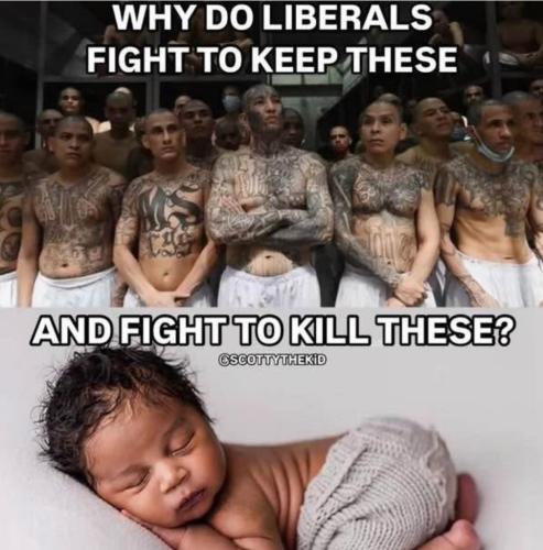 62175576-8ABA-4782-B7A8-B48D50045119