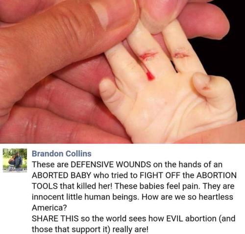 FB_IMG_1557978051319