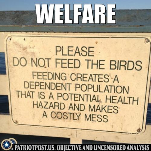 01JVM9XA2F3VAMW0SYGK0ZK5W3