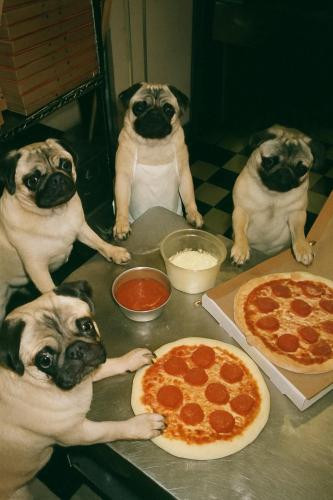 FB_IMG_1747435464339