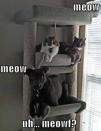 2f6fb93feabf4bd80545caa6b92d346f