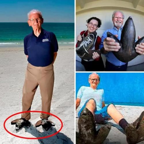 2cb2e943-c986-4345-8caf-c57cf8dcab35