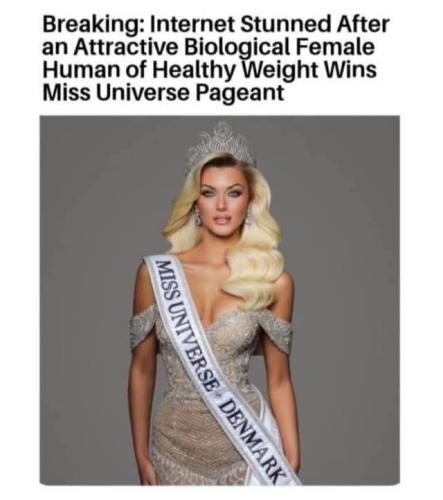 087bf6a9-bb87-4249-8b9f-03428b2a6ddc