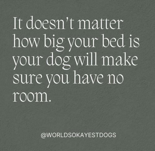 64da72e38d4154fb85554124d901f2dc