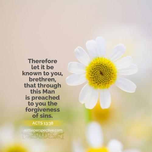 act-13-38-ww-unsplash-9x