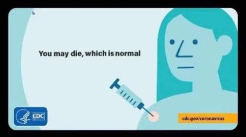 492086222_122122113374718379_1998462305776172878_n