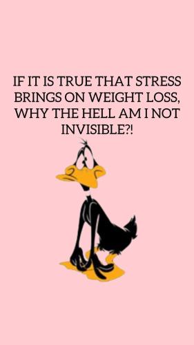 FB_IMG_1746823994249