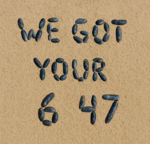 FB_IMG_1747445335087