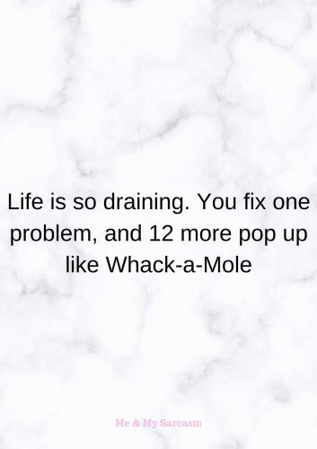 FB_IMG_1747413390833