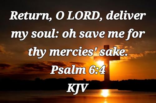 b8f3efb9-f75f-47a3-bc47-ee2c6c1c2400