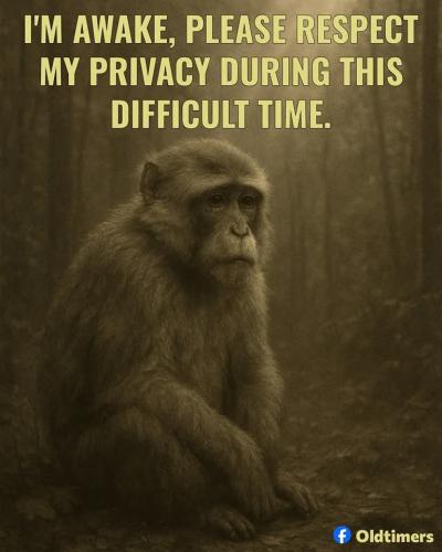 FB_IMG_1748645752834