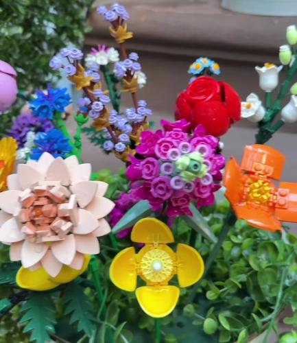 Screenshot_20250511_094311_Instagram