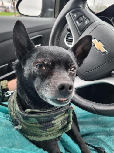 e10a177c-9ec8-4456-a191-60f7f2efb3ef