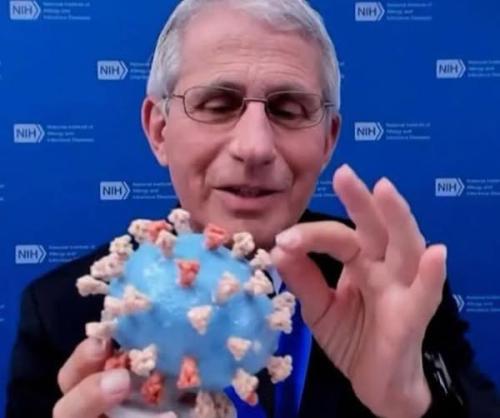 495540731_10229894145558381_2266236833093882508_n