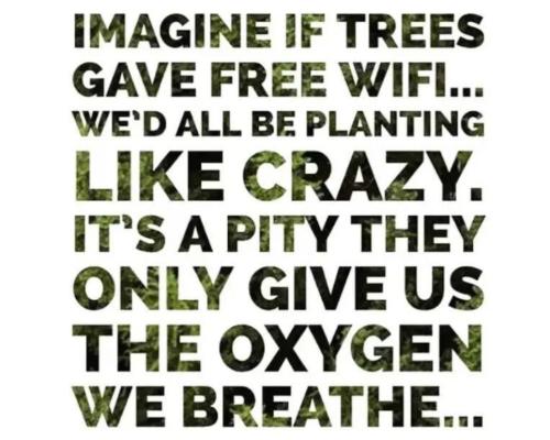 5789433a-c2ed-4e8f-b2ea-415aa077ddcd_964x772