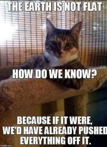 176c249295205c24b93674fe6d570e50