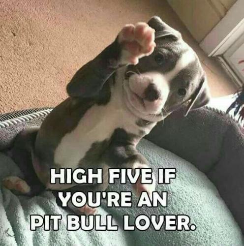 9c28eef3f551eceb6ee19edcf54d4e89