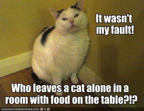 dc3aae58286bfed64db00cd0408f3826