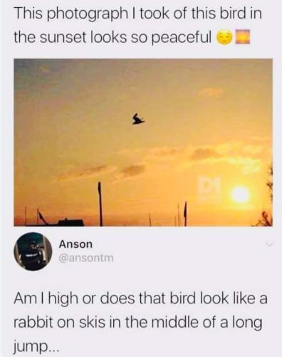 FB_IMG_1557805480762