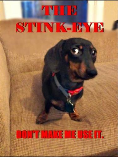 FB_IMG_1746983932964