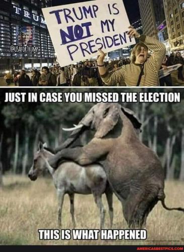 65557965b44280479f19077eaa5d556536cbdd829c1ee6c4cfe41461a0915707_1