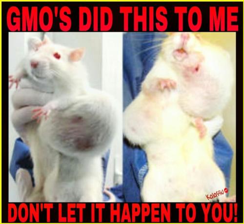 1473088474000df96b3f935773b3f027740938d1e985dfd71bab9d577eca4ee3dfb0fe77175cdd386a01e515c0031ad93cb58594a6460b3b7ef3ba2ca2f03dd15a46b3a2838d6