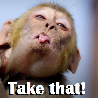 217837959_873429809935605_6371388535870222951_n - Copy