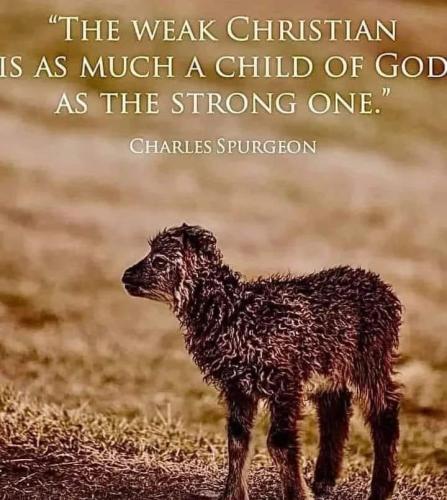 494800079_1122184636603359_3939313385775005906_n