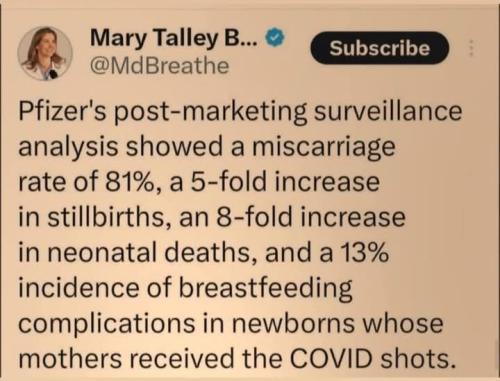 488278160_122119875572718379_6524223905442385859_n