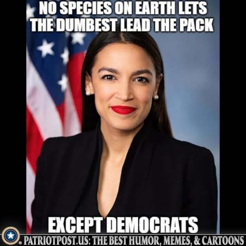 01JTHZQZTK441HNM5R9FN05MCX