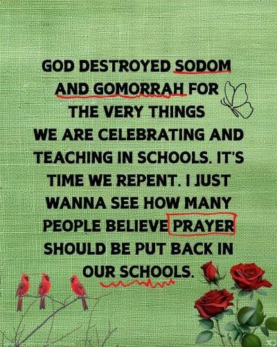 500081060_122156879078434777_7125004624735609541_n