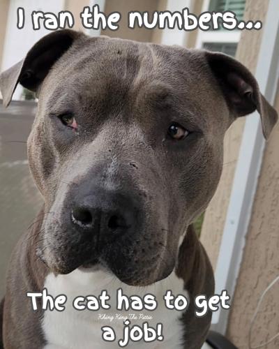 FB_IMG_1748524182967