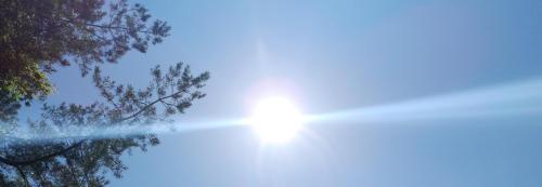 IMG_20200627_104911 (3)