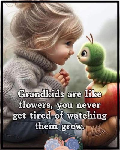 FB_IMG_1748086730258