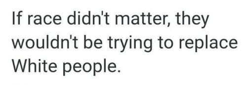 IMG_20250501_114035_521