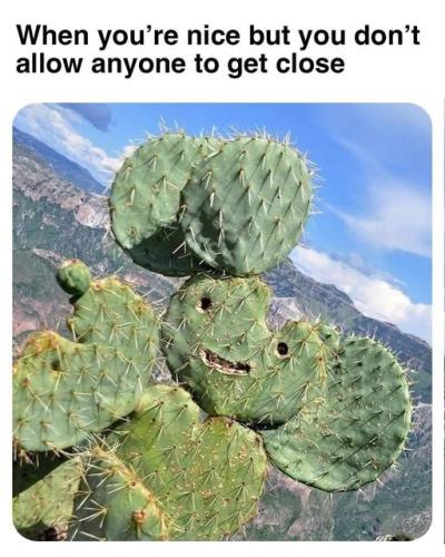 495093594_674326828638727_7898074170537078762_n