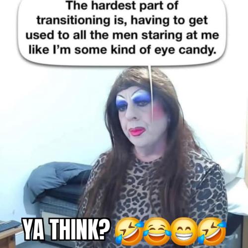 tranny(1)