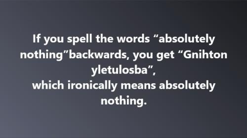 image_2C231171-562A-4EB7-8EB7-30BB1AA6FCE9