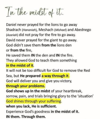 63f89f8b-7405-40aa-83f1-ca85df68894e