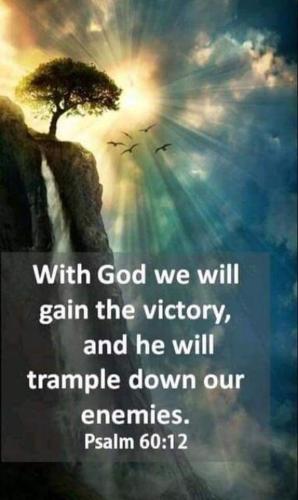 FB_IMG_1558366755470