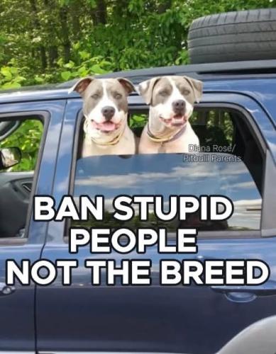 FB_IMG_1748086269070