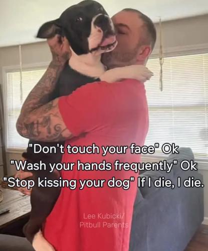 FB_IMG_1748304987518