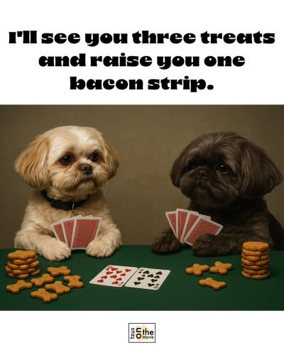 FB_IMG_1748005679059